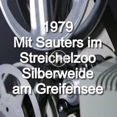 1979 Silberweide